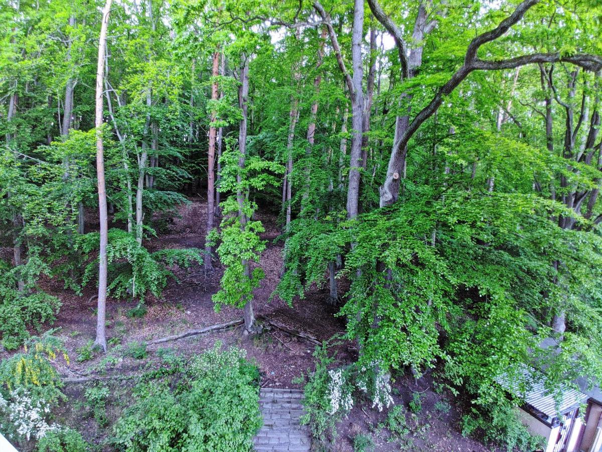 "Near The Forest" Apartment Sopot Zewnętrze zdjęcie